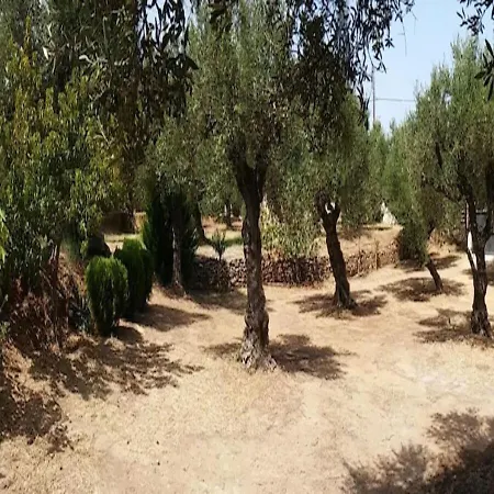 Dora Casa de Férias